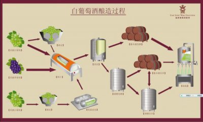 ​为什么白葡萄酒发酵温度低？葡萄酒发酵温度过低