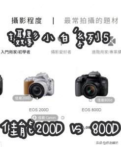 ​「摄影小白5」佳能单反入门200D800D大比拼