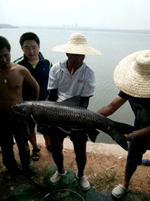 钓鱼人的黄埔军校：化绍新钓鱼学校