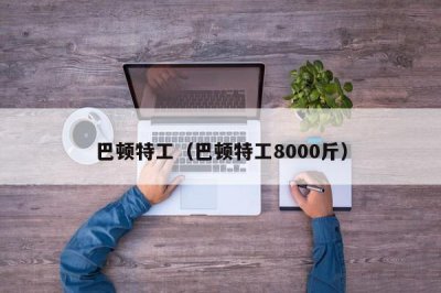 ​巴顿特工（巴顿特工8000斤）