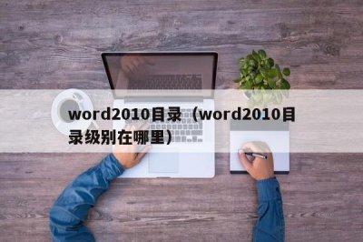 ​word2010目录（word2010目录级别在哪里）