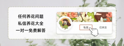 ​豆王和四季豆有什么区别（四季豆和架豆王是同一种豆角吗）