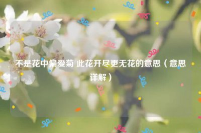 ​不是花中偏爱菊 此花开尽更无花的意思（意思详解）