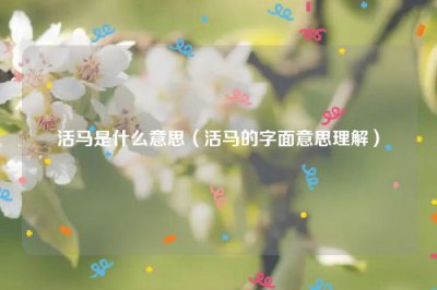 ​活马是什么意思（活马的字面意思理解）