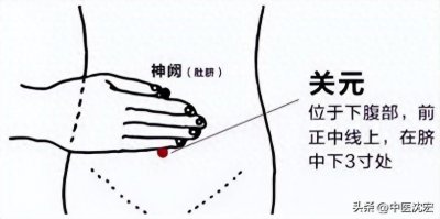 ​关元准确位置图 图(这几个穴位，堪称人体自带的桂附地黄丸，不花一分钱就能补