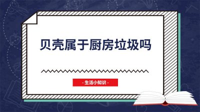 ​贝壳属于厨房垃圾吗怎么处理 贝壳是不是属于厨余垃圾