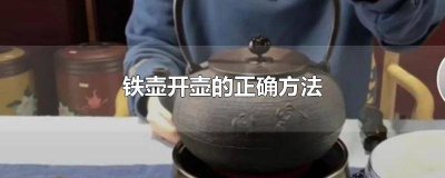 ​铁茶壶如何开壶保养 铁茶壶如何开壶视频