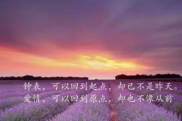 校花门事件详情 钟莉颖多次自曝被包养的原因