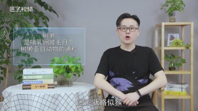 ​树懒是什么动物,吃什么「树懒是什么动物生肖」