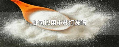 ​虾可以用小龙虾的配料做吗 小虾能不能