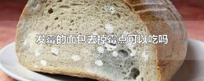 ​把面包发霉的地方去掉还能吃吗 面包生霉点可以吃吗