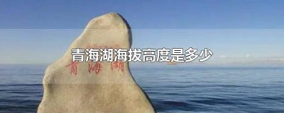 ​青海湖海拔是多少米高 青海湖海拔高多少