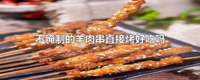 ​不腌烤箱烤羊肉串的做法 烧烤羊肉串用不用腌制