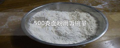 ​500克面粉用碗量图片 家用饭碗一碗面粉有多少克