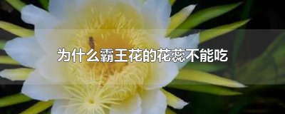 ​霸王花可以吃不 霸王花花芯可以吃吗