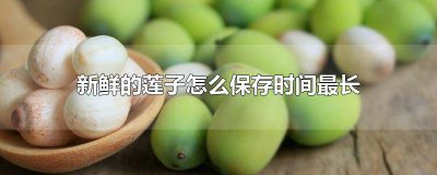 ​新鲜莲子要怎么保存 新鲜莲子能存放多久