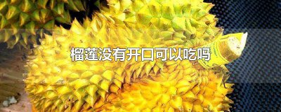 ​榴莲口没开能吃不 榴莲没开口 能吃吗