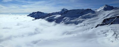 ​大象在雪地里踩的脚印像什么 大象的脚印在雪地里踩出来像什么东西