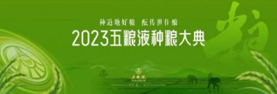 ​五粮液集团 五粮液股份(五粮液有限集团公司)