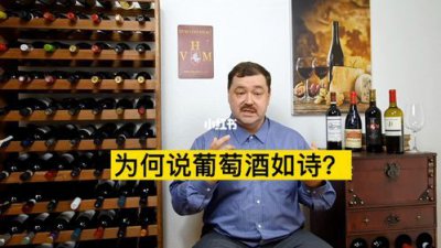 ​关于红酒的古诗和词语(关于红酒的古诗和词句)