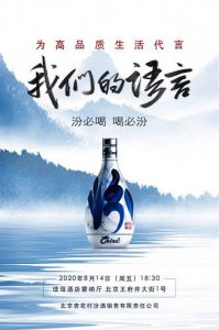 ​武林风酒经典九段多少钱(武林风经典九段42度多少钱)