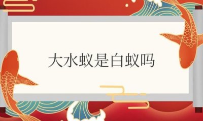 ​大水蚁是白蚁吗？为什么趋光性强？