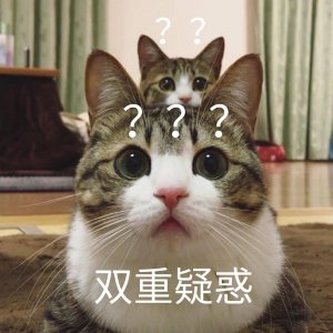 ​猫喜欢趴在我身上睡觉说明什么（趴主人胸口睡觉的6种含义）