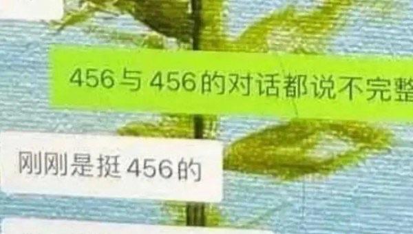 热梗456是什么意思，孟美岐个人介绍  2