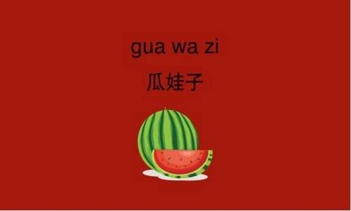 热梗瓜娃子是什么意思四川话（四川话的瓜娃子的意思可以用来骂人）  1