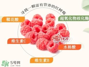 覆盆子可以泡水喝吗?覆盆子能泡水喝吗?