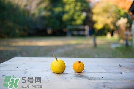 柚子有解药性吗?吃柚子会解药吗