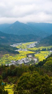 ​婺源江岭，梯田油菜花盛开，徽派古建筑依旧，徽州女人在哪？