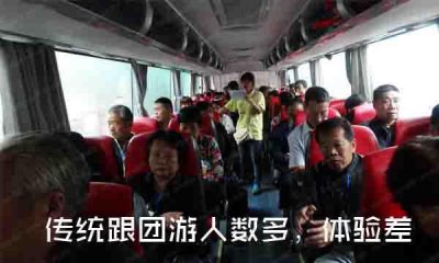 ​什么是私人定制旅游？和跟团游有什么不一样?