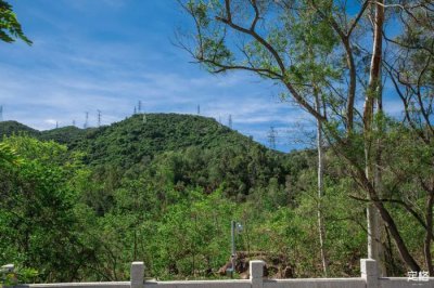 ​地铁直达！藏在深圳闹市的登山圣地！