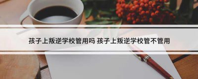 ​孩子上叛逆学校管用吗(很可能适得其反)