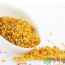 桂花可以泡茶吗?桂花泡茶喝有什么好处?