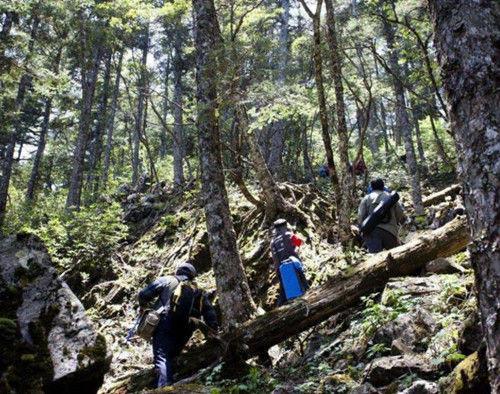 139年前，在原始森林抓到的野人女孩，后来怎样了？结局让人叹息