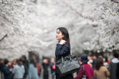 ​南京林业大学的美丽樱花