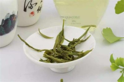 ​喝清明茶能减肥吗 清明茶每次喝多少合适