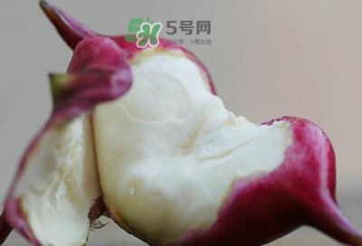 ​菱角什么时候上市？菱角什么时候成熟