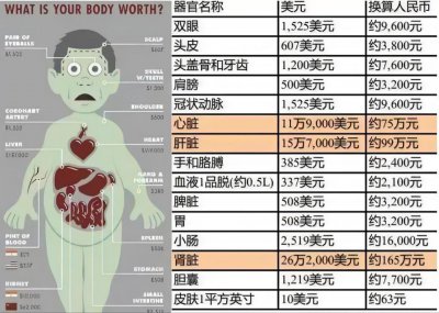 ​人体器官在美国黑市里被明码标价，为啥肾脏是最贵的器官？