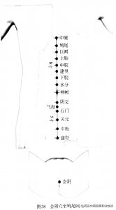 ​穴位图解-任脉经穴