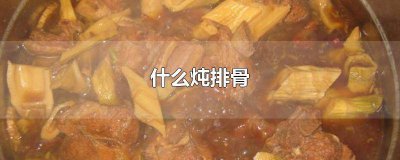 ​什么炖排骨比较好吃 什么炖排骨汤好喝又营养