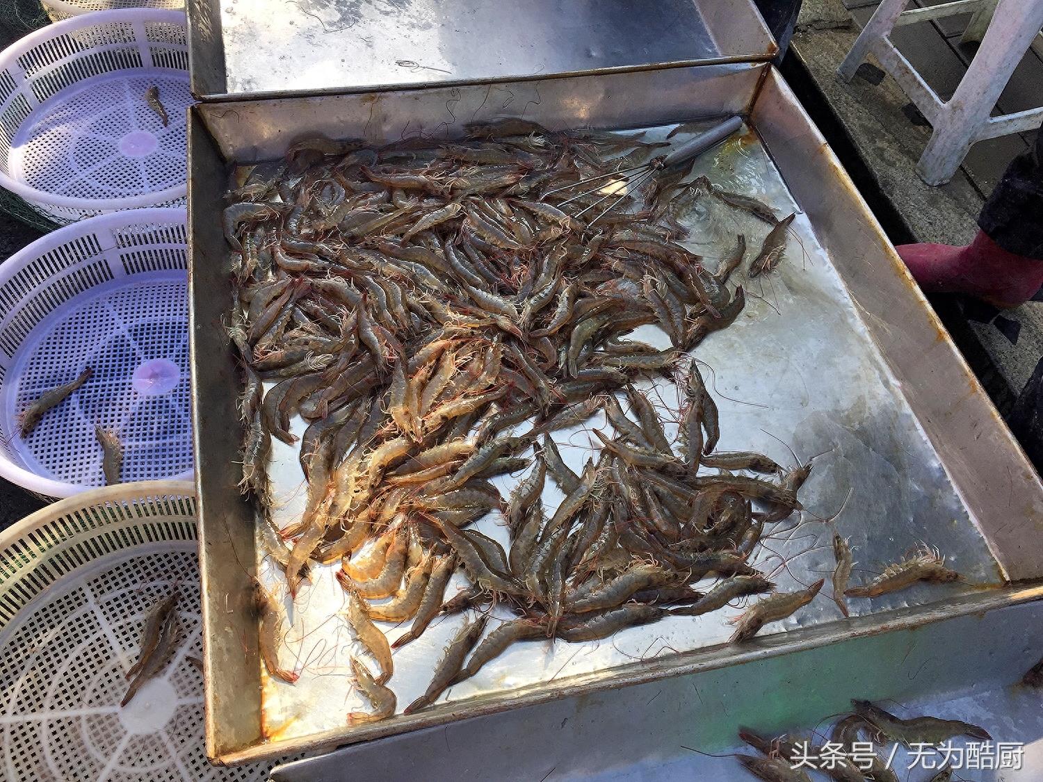 食神必逛！海鲜市场“鲅鱼圈”