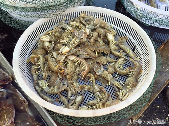 食神必逛！海鲜市场“鲅鱼圈”