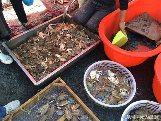 食神必逛！海鲜市场“鲅鱼圈”