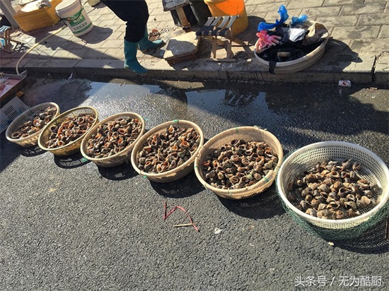 食神必逛！海鲜市场“鲅鱼圈”