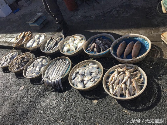 食神必逛！海鲜市场“鲅鱼圈”