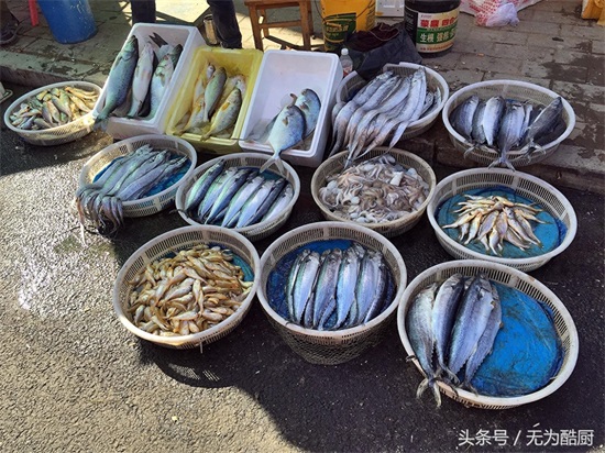 食神必逛！海鲜市场“鲅鱼圈”