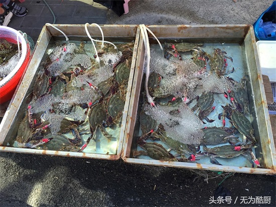 食神必逛！海鲜市场“鲅鱼圈”